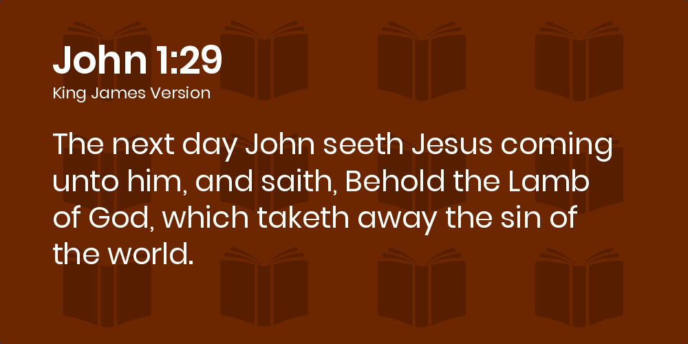 john 1 29
