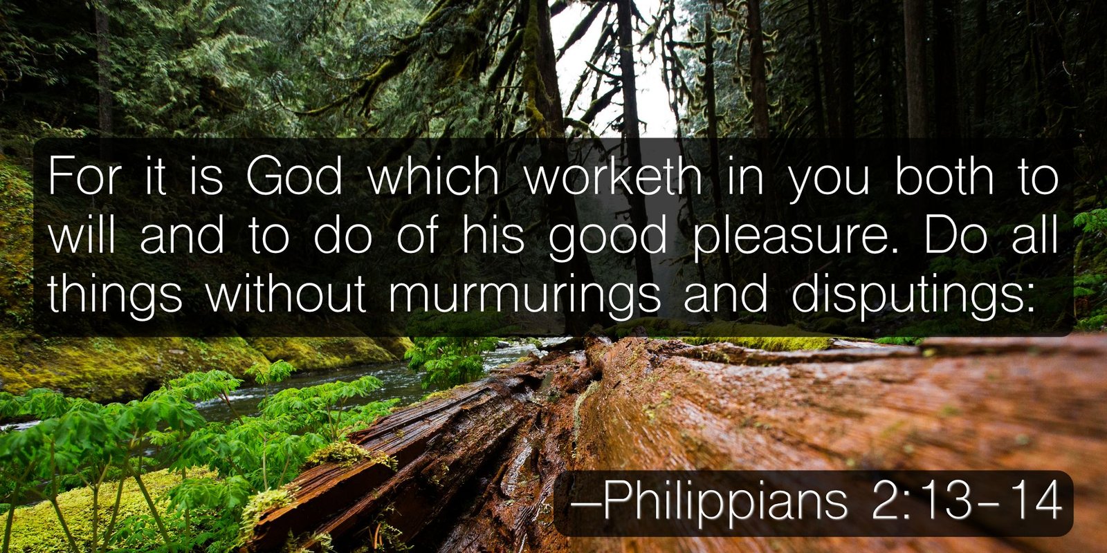 phil 2.13