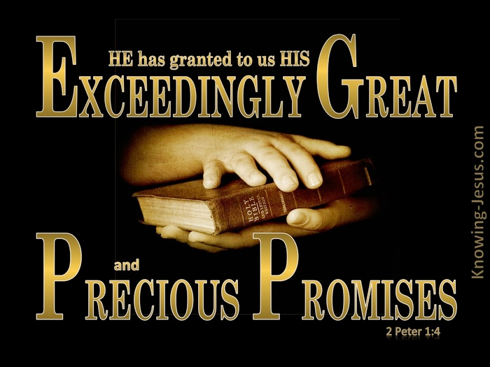 promises1