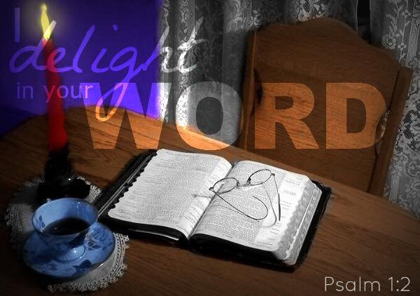 17951738 10213141735566589 4518252453753200492 n